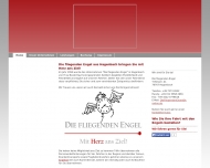 Bild Die Fliegenden Engel Krankenfahrten u. Flughafenzubringer
