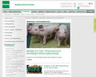 Website BayWa