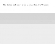 Bild Zimmermann Joachim Geigenbauermeister