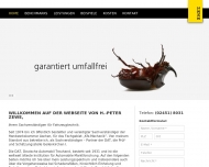 Bild Zewe Hans-Peter Vereidigter KFZ-Sachverstndiger