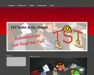 Bild TST Sthr & Co. GmbH