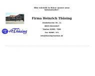 Bild Thsing Heinrich Elektro-, Sanitr-u.Heizungsmeister