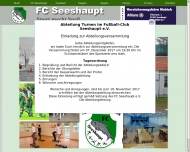 Bild FC Seeshaupt e.V. TennisAbt.