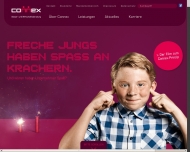 Website CONNEX Steuer- und Wirtschaftsberatung
