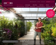 Bild CONNEX Steuer- und Wirtschaftsberatung GmbH Steuerberatung