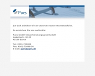 Bild Pues GmbH Wirtschaftsprfungsgesellschaft