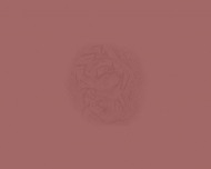 Bild Tattoostudio Sven Wiegand