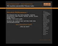 Bild Synergain Management Consultants Kohlscheen Norbert Managementberatung