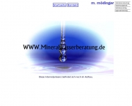 Bild Mdinger Manfred Unternehmensberatung