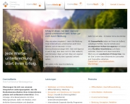 Website Cosmos Consulting Group IT-Services