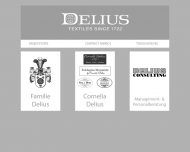 Bild Delius Consulting Unternehmensberatungs- u. Beteiligungsgesellschaft mbH
