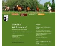 Bild Reiterverein Bad Drkheim e.V.