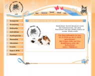 Bild Edelkatzen-Verein Bergisch Land
