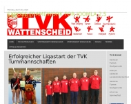 Bild TV Kronenburg 1895 e.V. Turnen Volleyball-Basketball