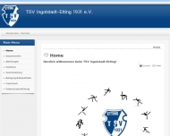Bild TSV Etting e.V. 1931