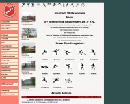 Bild Sportverein Alemannia Salzbergen 1919 Sportplatz