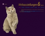 Bild Deutsche Edelkatze e.V.