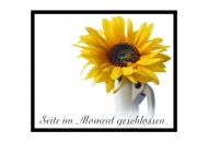 Bild Take five