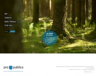 Bild pro publica Agentur fr Werbung und ffentlichkeitsarbeit GmbH