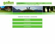 Bild Gallun GmbH & Co. KG Media und Werbeagentur, Verlagsvertretungen