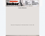 Bild Badsanierung Bieber Heizungs- u. Sanitrbau GmbH