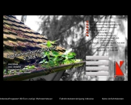 Website Dachrinnenreinigung-preiswert