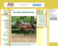 Bild Mobiler FN-Fahrlehrer