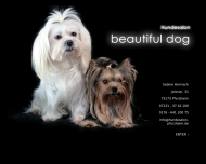 Bild Hundesalon beautiful dog, Sabine Hornisch