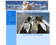 Bild Tierfotografie