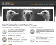 Bild Web Agentur Faldey