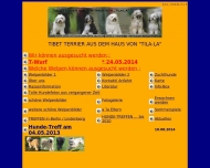 Bild Tila-La Tibet Terrier