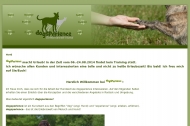 Bild Hundeschule dogsperience