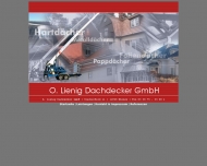Bild Lienig Olaf Dachdeckerhandwerk