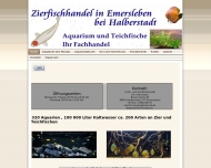 Bild Zierfisch Gro und Einzelhandel 