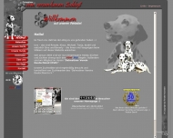 Bild Dalmatinerwelpen