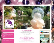 Bild BallonMOBIL
