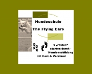 Bild Hundeschule The Flying Ears
