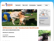 Bild Hundeschule Best Friends
