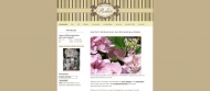 Bild Blumenhaus Raber