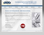 Website EBS