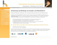 Website holzenkamp business consulting