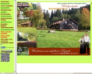Bild Webseite  Sankt Andreasberg