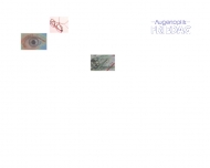 Bild Augenoptik Friedag GmbH