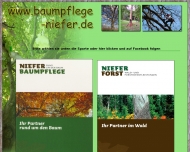 Bild Baumpflege Niefer