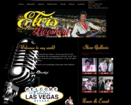 Bild Elvisliveshow