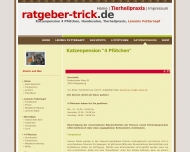 Website Katzenpension & Tierheilpraxis 4 Pfötchen