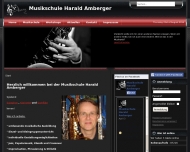 Bild Musikschule Harald Amberger