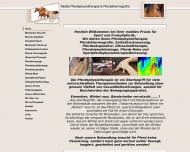 Bild Pferde-Therapie-Direkt