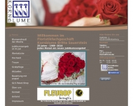 Bild Britta Sauerstein  Kornblume 