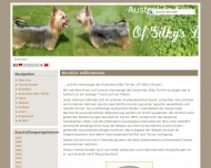 Bild Australian Silky Terrier Hunde Zucht